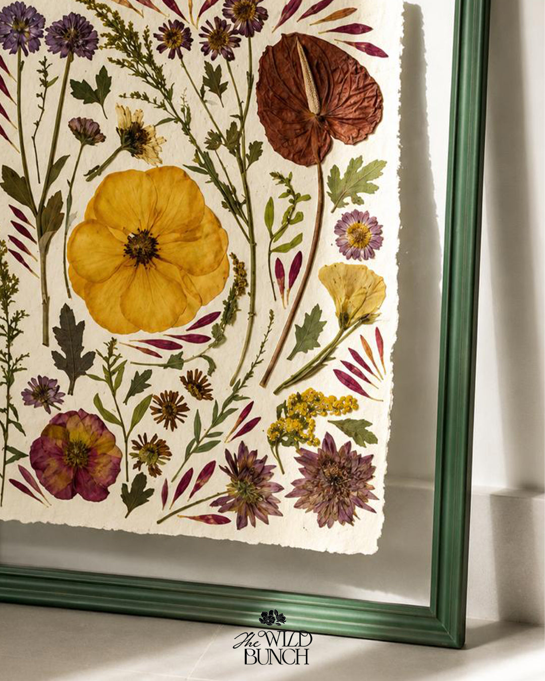 The Botanical Garden Collection