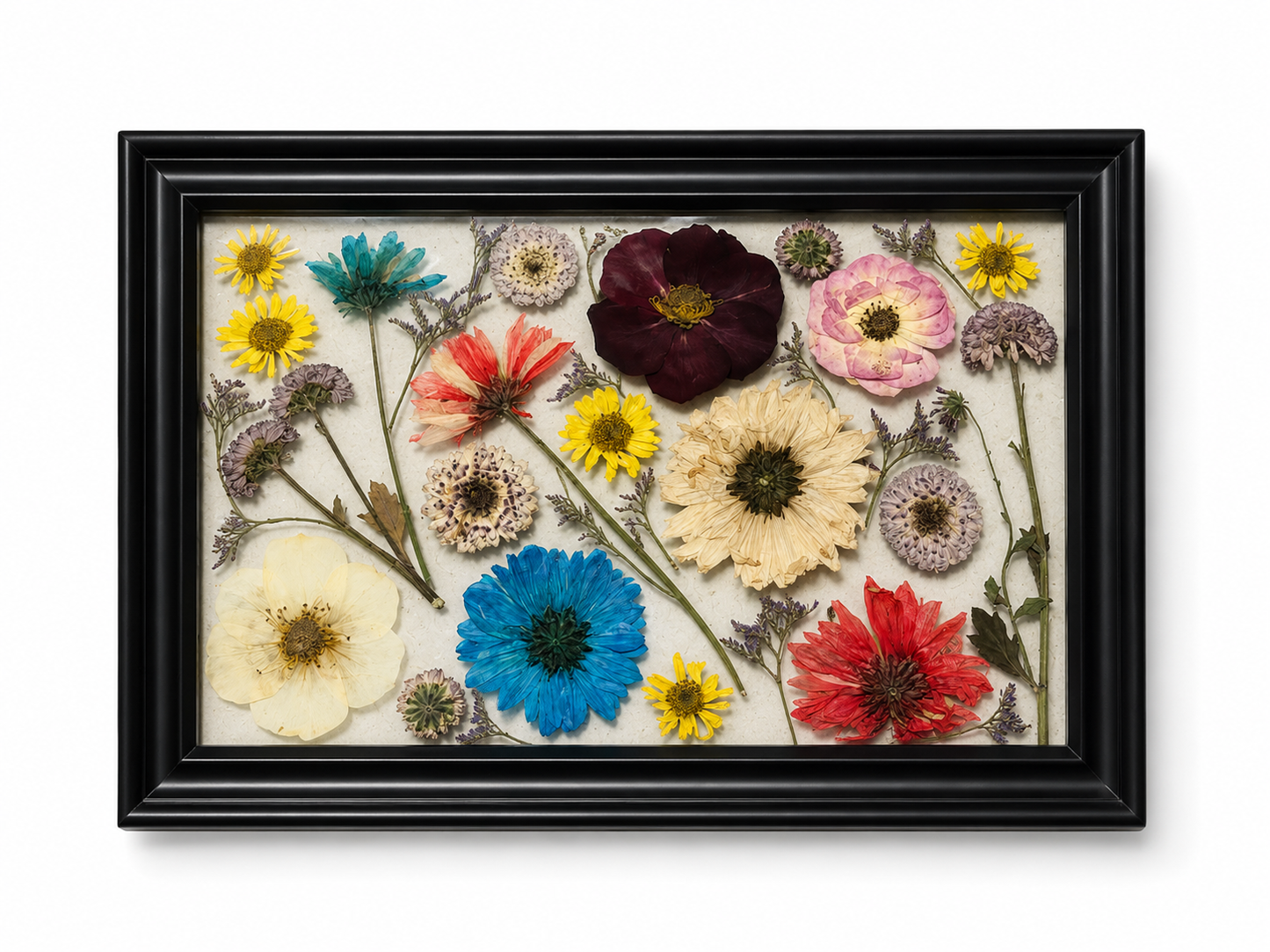 The Mini Botanica