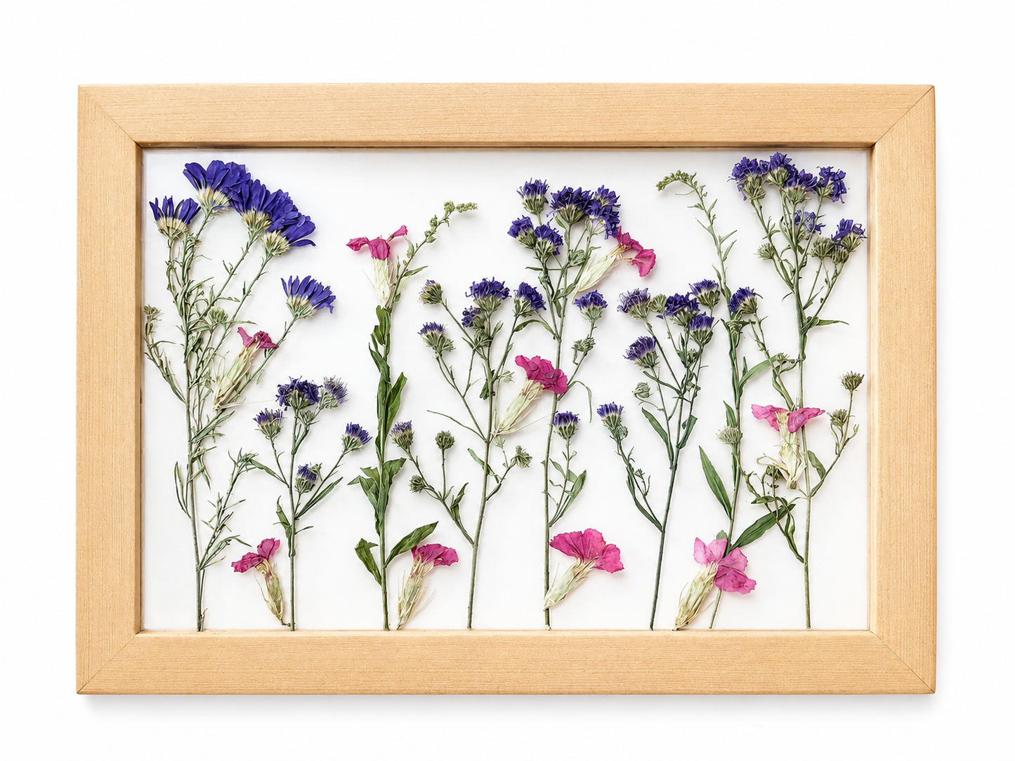 The Mini Botanica