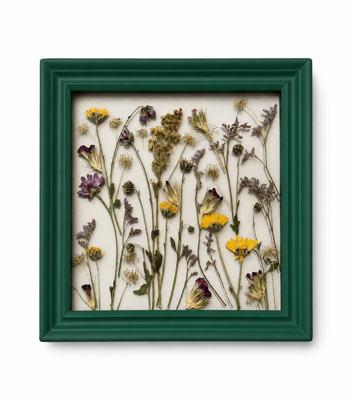 The Mini Botanica