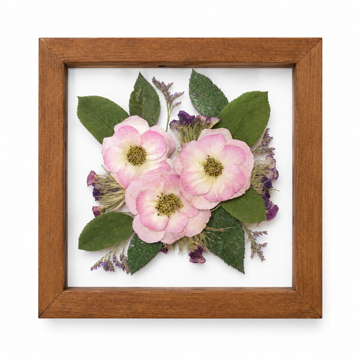 The Mini Botanica