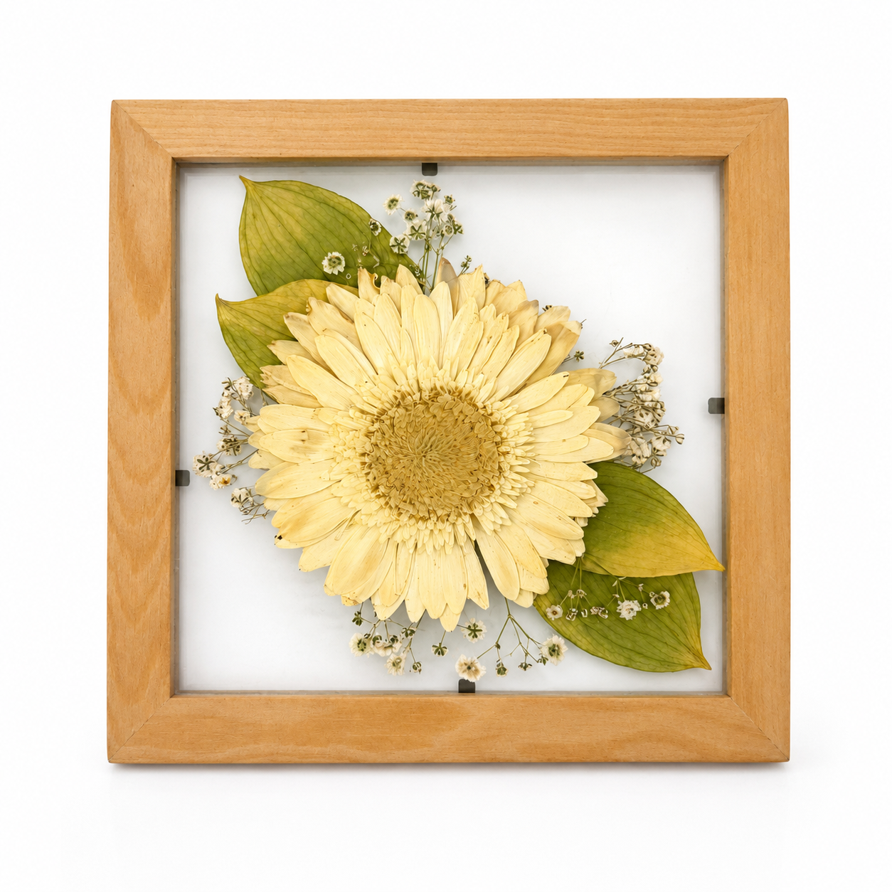 The Mini Botanica